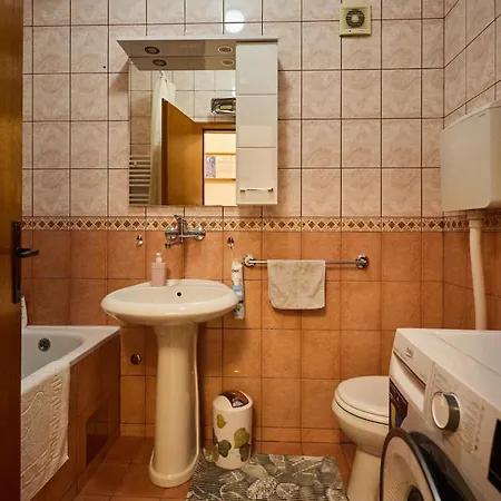 Apartment Family&business 100m2 Apt-citycenter, Fair & Park Novi Sad