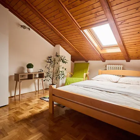 Family&business 100m2 Apt-citycenter, Fair & Park * Novi Sad
