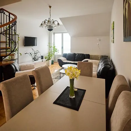 Family&business 100m2 Apt-citycenter, Fair & Park * Novi Sad